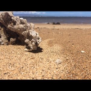 Meet your Posher, Judd